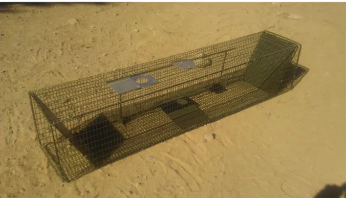 Figure 12: Cage, dite « chatière » entrant dans la 1ère catégorie de pièges. L'appât au milieu de la cage est  posé  sur  une  palette  qui  fermera  les  issues  de  part  et  d'autre  de  la  cage  en  cas  de  pression