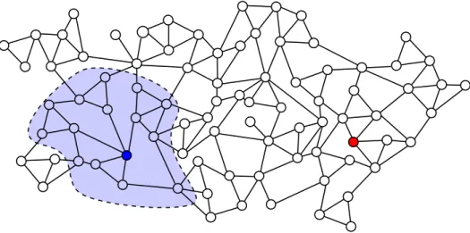 Figure 1.1: In a local algorithm, every node has a local view. For example the dark blue node can see only the node in the light blue area