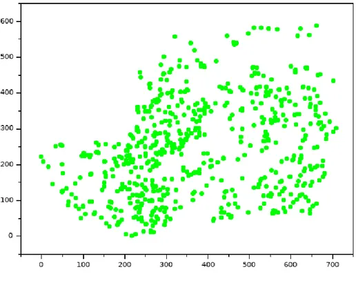 Figure 4.5 – The cacti positions measured in the field and used in the simulations.