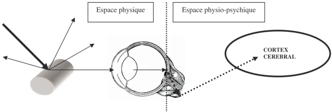 Figure 10 : Représentation schématique simplifiée du mécanisme de la  vision. Le trait en pointillé permet de distinguer l’espace proprement  physique de l’espace physio-psychique