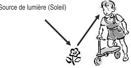 Figure  19 :  Dessin  attendu  pour  la  réponse  à  la  question  n°2,  à  condition  que  les  flèches  désignent  explicitement  le  trajet  de  la  lumière