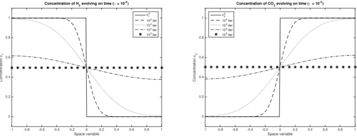 Figure 4.1 – Evolution of the concentrations of species 1 and 2 in time in the two-species test case