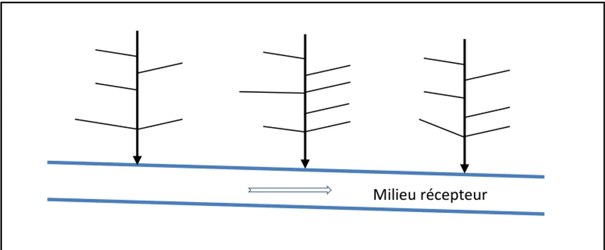 Figure N°02 : Schéma type perpendiculaireMilieu récepteur 