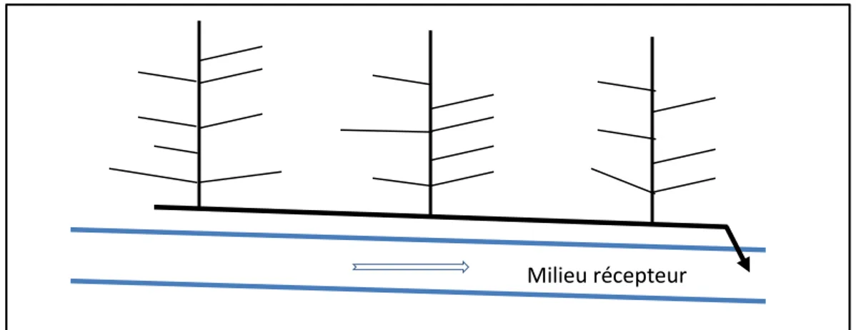 Figure N°02 : Schéma type latéral