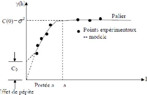 Figure 6 : Propriétés du variogramme.  Lorsque :h = 0 