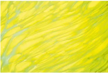 Figure II.6 : Verre imprimé [12]. 