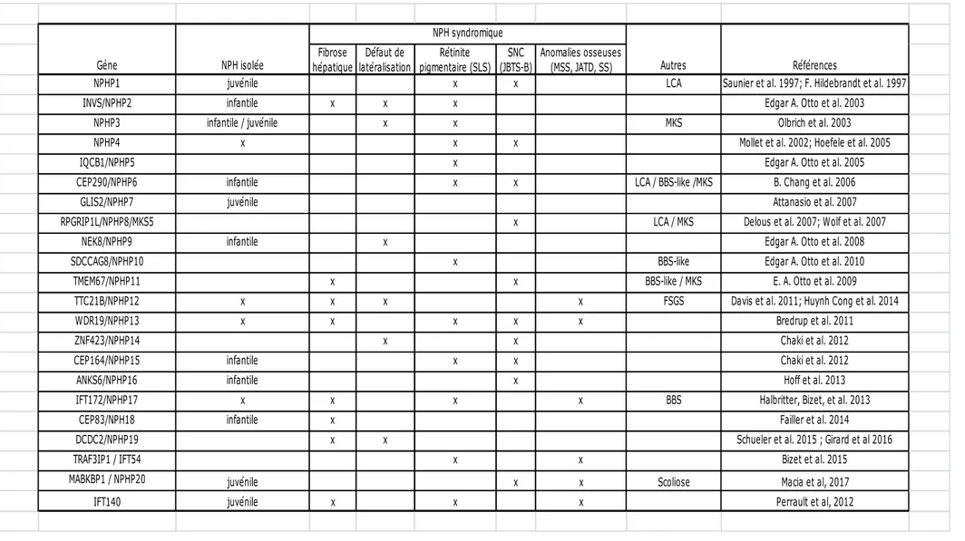 Tableau 2: Gènes responsables de la NPH et de ses formes syndromiques 