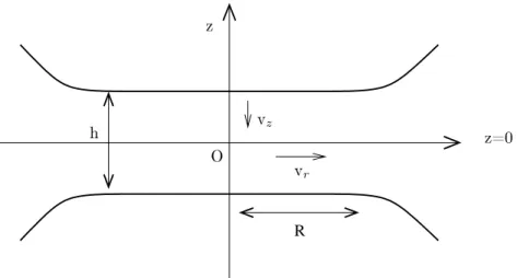 Figure 1.11  Notations utilisées dans le modèle de Reynolds. Aminissement d'un lm