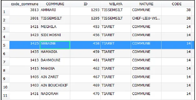 Figure 6 Informations alphanumériques du Format vectoriel dans un SIG (exemple réalisé sur 