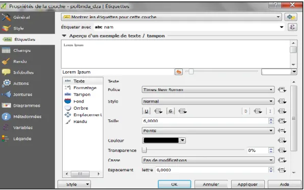 Figure 31 Options d‟affichage et de style des Etiquettes d‟une couche. 