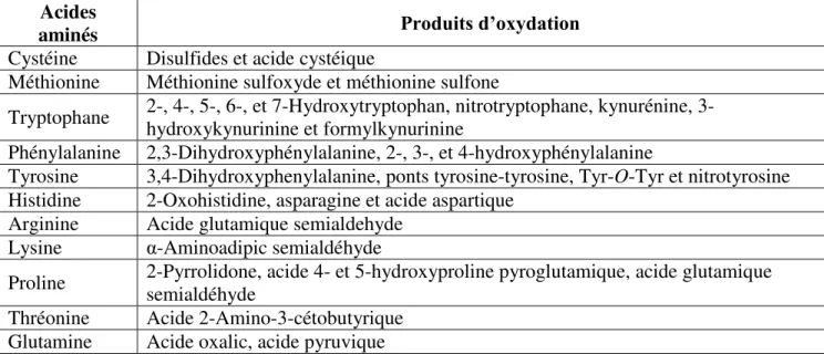 Table 3 : Liste des produ its issus de l’oxydation des acides aminés, inspiré de (Cabiscol et al., 2000)