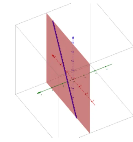 Figure 1.4 – Ensembles invariants par un flot unipotent dans le modèle de Siegel