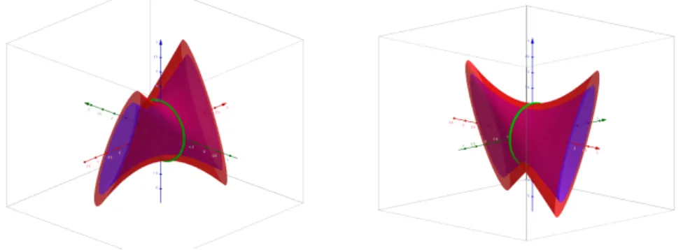 Figure 2.3 – Deux vues des nappes bornant un ensemble de la forme Dev 0 ( T e [s