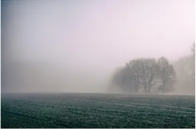 Figure I.2 – Photographie d’un champ dans le brouillard (source site [1]). On ne distingue pas la forme des objets au loin.