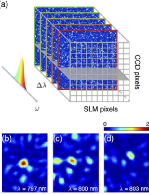 Figure III.2 – Focalisation spatiale à différentes fréquences avec un front d’onde unique