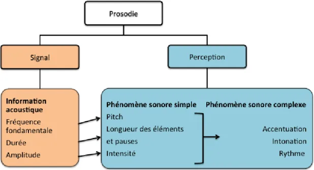 Figure  1.2:  Informations  prosodiques  divisées  par  informations  acoustiques  (signal)  et  informations  phonético-phonologiques (perception)