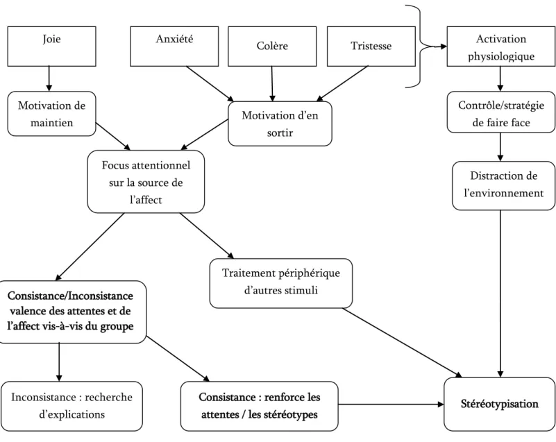 Figure 4.  Modèle de la relation entre affect intégral et stéréotypisation (issu de Wilder &amp; Simon,  1996) 