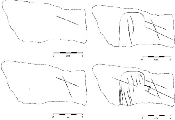 Figure 7: Combinaisons de calques sous Adobe Illustrator de la plaquette MH-D50-7-407 (recto) (M