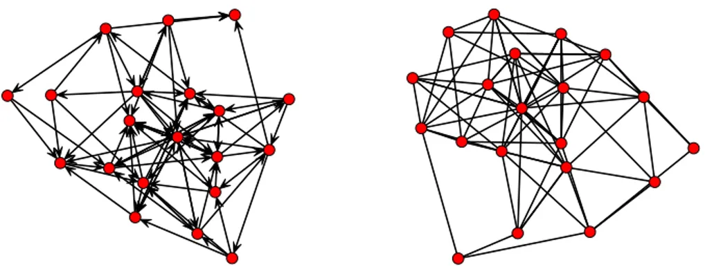 Figure 2.2: An example for both directed and undirected networks with 20 nodes.