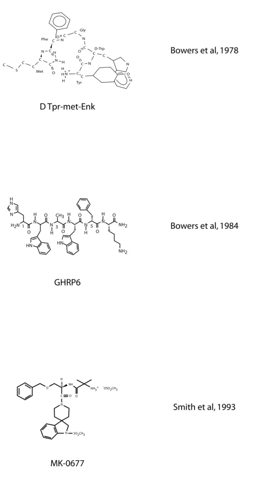 Figure 13  :  Structure de 3 sécrétagogues de l’hormone de croissance peptidiques (D-Trp Met enk, GHRP6) et non peptidique (MK-0677).