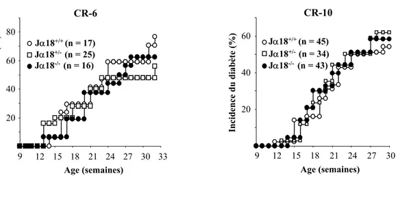 Figure 2 : L’incidence du T1D n’est pas modifiée chez les souris NOD totalement  dépourvues de lymphocytes iNKT (NOD J α18 -/- )