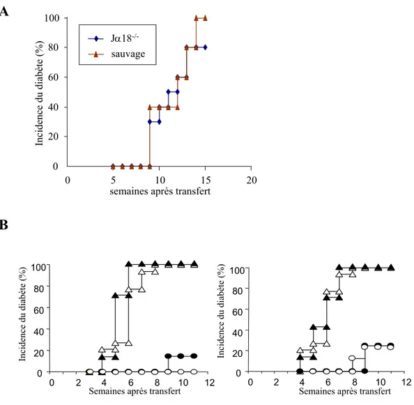Figure 3 : A) La capacité de transfert du T1D par les splénocytes n’est pas modifiée chez la souris NOD  totalement dépourvue de lymphocytes iNKT (NOD J α 18 -/- )