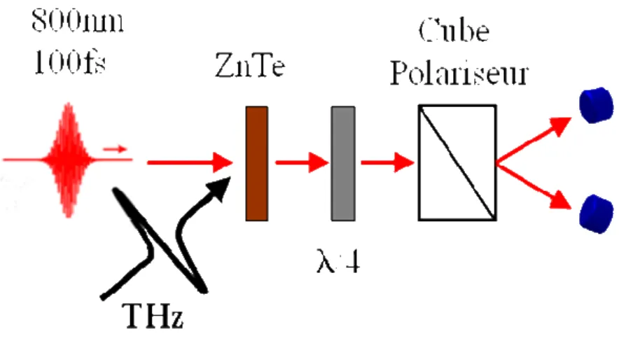 Fig. 1.5 Diagram of Free Space Electro-Optic Sampling (FSEOS) 