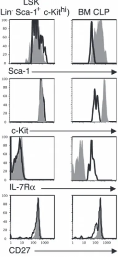 Figure  7 :  Comparaison  de  l!expression  de  marqueurs  de  surface  sur  les  LSK,  CLP et ETP (Allman et al., 2003)