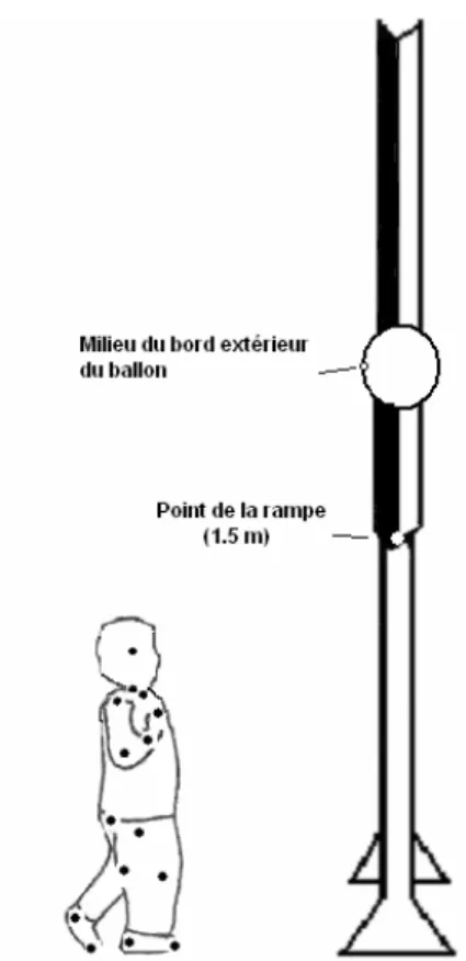 Figure 20. Les différents points utilisés pour le pointage image par image. 