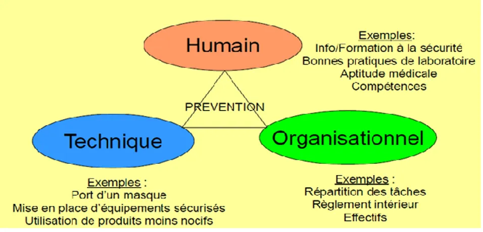 Fig. IV.4. Trois modes de prévention 