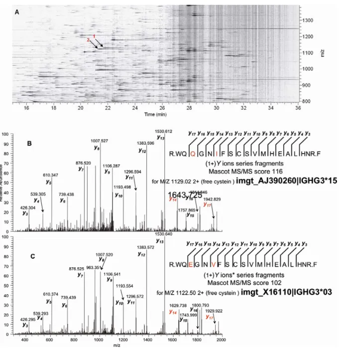 Figure 3 : Simultaneous detection of two discriminatory peptides in the 1:1 volume ratio sample 