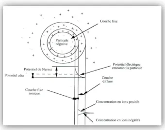 Figure I.6: Etat de surface des colloïdes selon la théorie de la double couche.