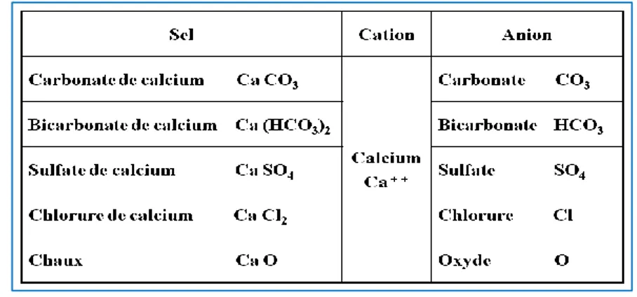 Tableau I.1: Sels de calcium. 