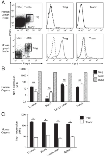 Figure 1. Differential expression of Nrp-1 in human and mouse Foxp3 1 Treg. (A) Human (top) and mouse (bottom) lymph node cell