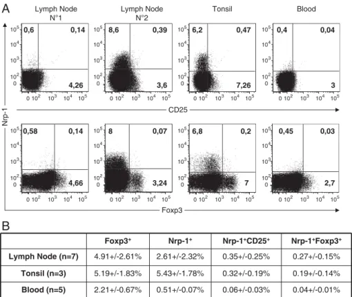 Figure 2. Nrp-1-expressing T cells in human secondary lymphoid organs are not Foxp3 1