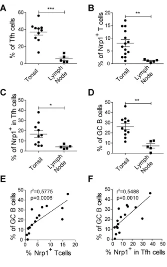 Figure 5. Correlation between Nrp1 expression and germinal center activity in  secondary lymph nodes