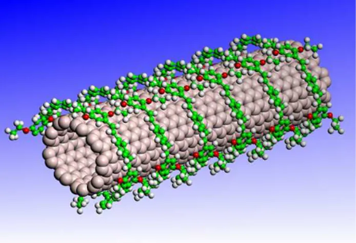 Figure 1.1: Pinned polymer in 3D. We are interested in the first time the polymer makes one single loop around the filament.