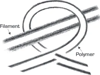 Figure 1.2: A single loop of a pinned polymer in 3D. The polymer makes one loop around the filament.