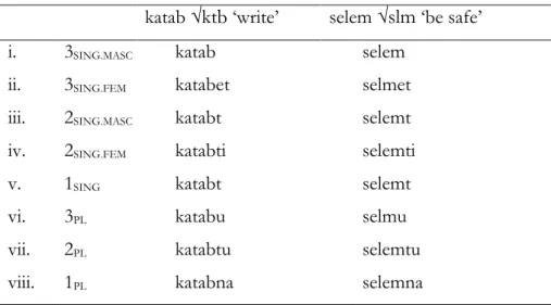 Table 3.10 CEA katab vs. selem: perfective verbal paradigms  katab √ktb ‘write’  selem √slm ‘be safe’  i