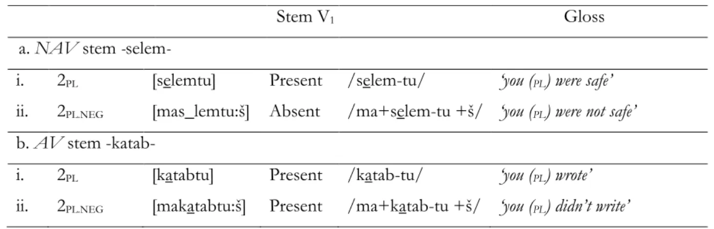 Table 3.13 Stable first stem vowel in -katab- but not in -selem- 