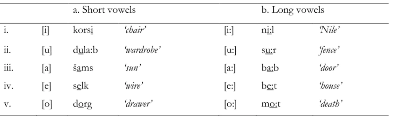 Table 1.1 Surface vowel qualities 