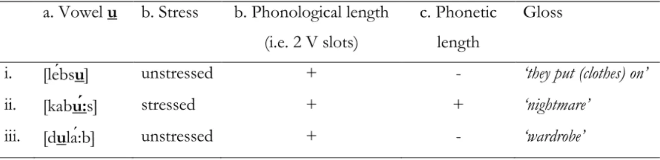 Table 1.16 Branching vowels in CEA and differential phonetic length due to stress  a. Vowel u   b