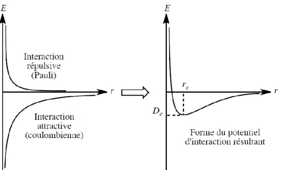 FIGURE 9 – Interactions d’attraction et de répulsion entre atomes dans un solide 