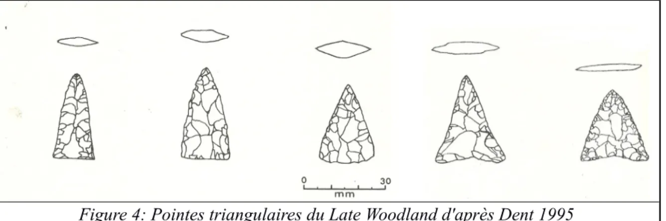 Figure 4: Pointes triangulaires du Late Woodland d'après Dent 1995