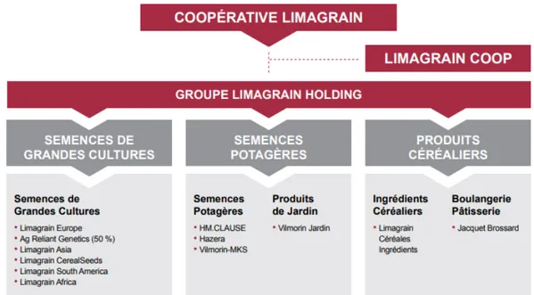 Figure 1 : Schéma des différentes filiales de Limagrain (source : Limagrain.com) 