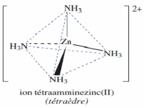 Figure 1 : Formation de [Zn(NH 3 ) 4 ] 2+  à partir de Zn 2+  et de NH 3 .  
