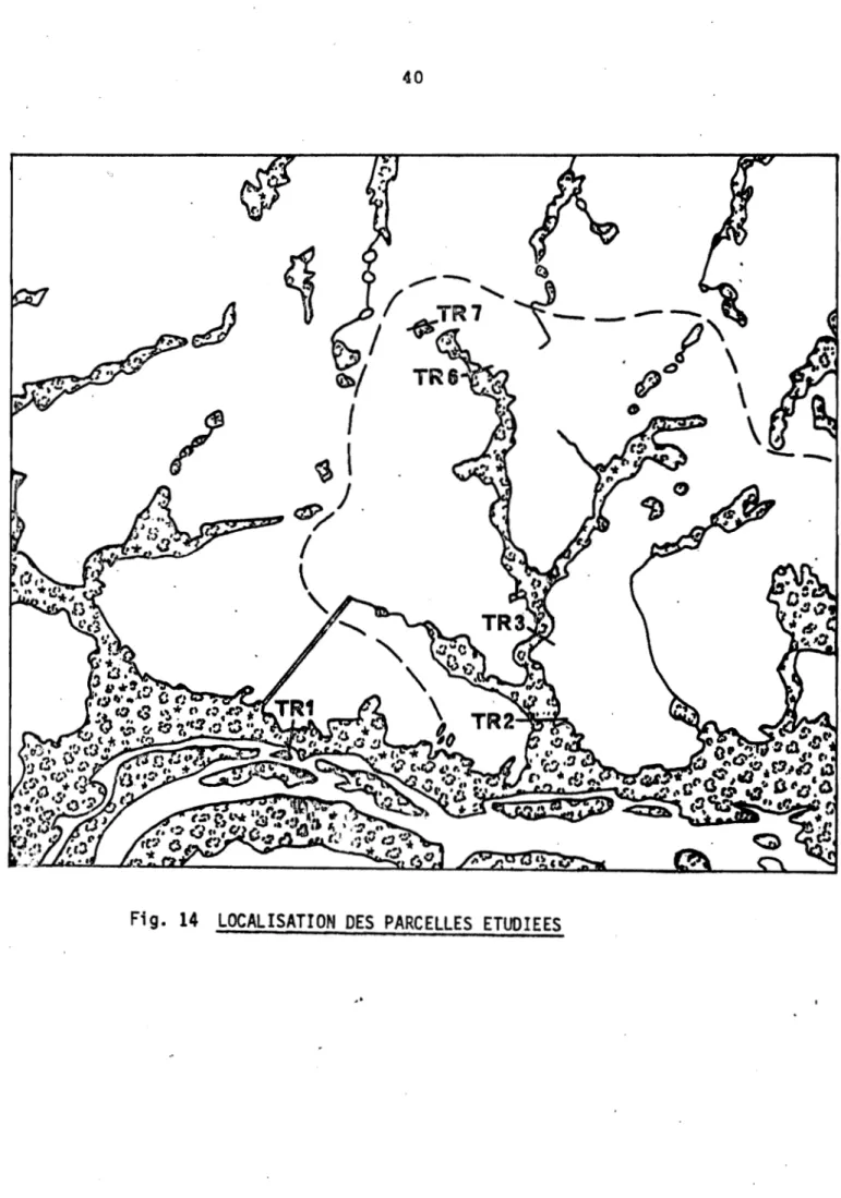 Fig. 14 LOCALISATION DES PARCELLES ETUD.IEES