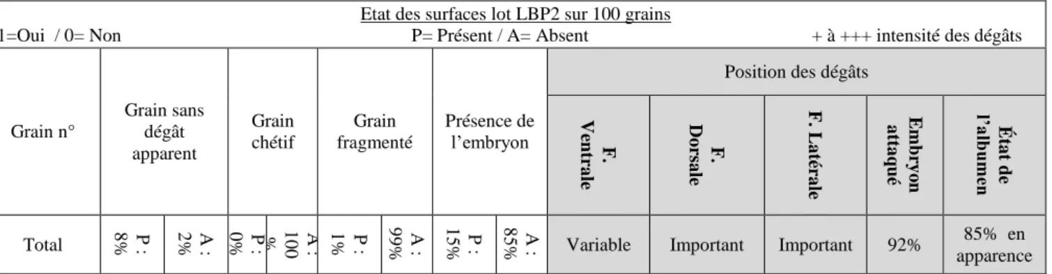 Tableau 12 Tableau de description du lot de seigle parasité 1 (LSP1) 