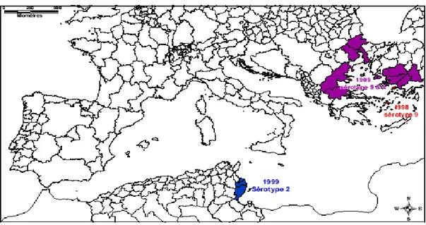 Figure 5. Situation de la fièvre catarrhale du mouton (sérotypes 2 et 9) dans le bassin                    méditerranéen en 1998 et 1999