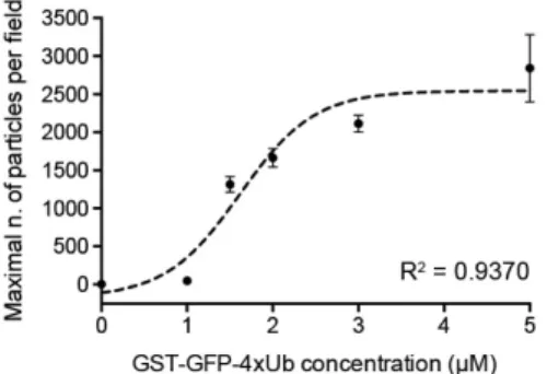 Figure 2.6 – Number of aggregates in terms of [U bi] (or more precisely (4×U bi−GST −GF P ) 2 )